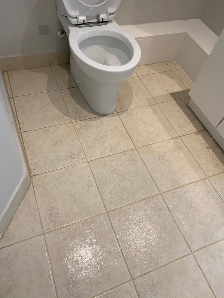 Janitorial 6